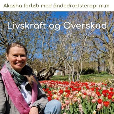 Livskraft-og-overskud-forløb